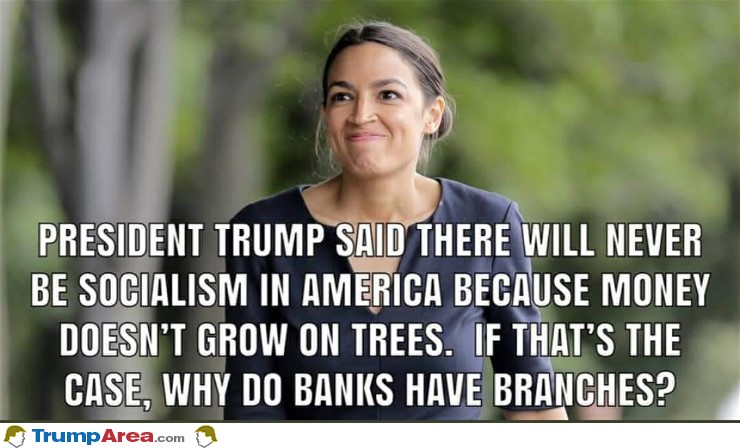 alexandria occasional cortex