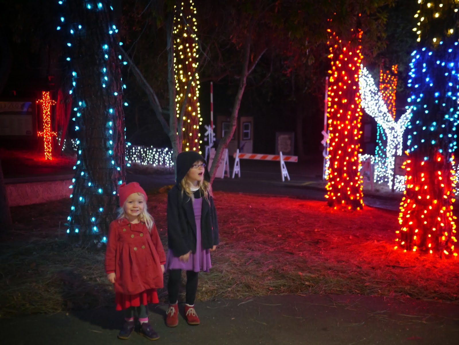 Little Hiccups Zoo Lights at Oakland Zoo