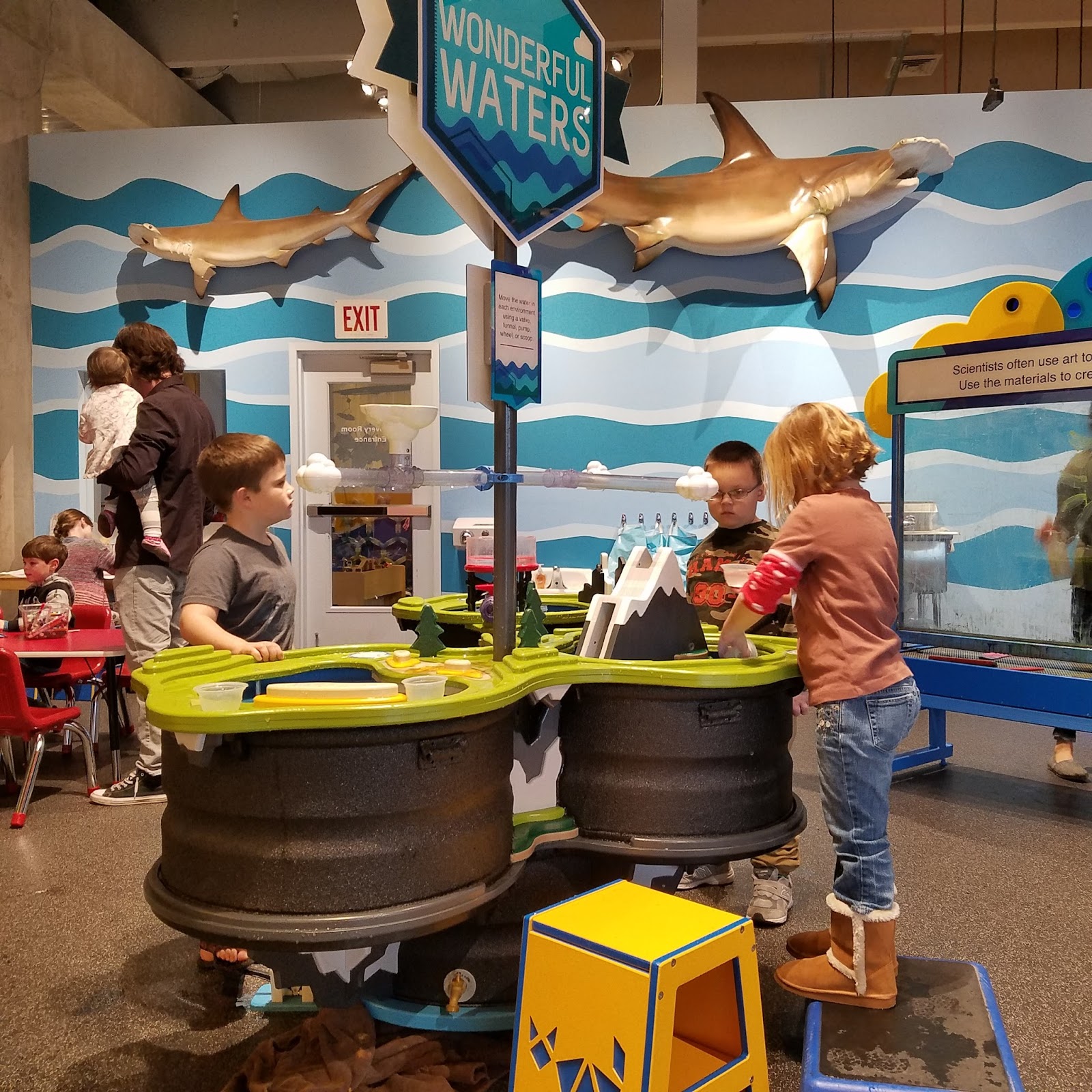 Play St. Louis St. Louis Science Center, St. Louis City