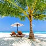 Beach Scenes