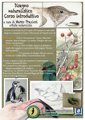 Corso di disegno naturalistico