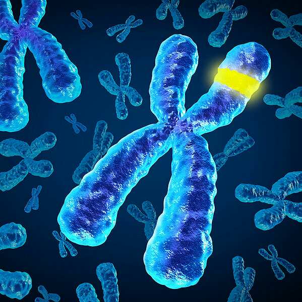 Появление дополнительной хромосомы