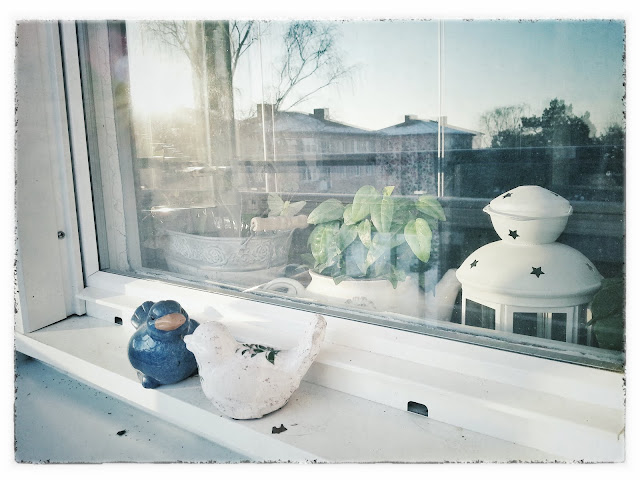porcelain-birds, window, houses, sunset, light