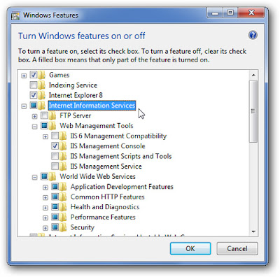 IIS Installation Process Windows Features