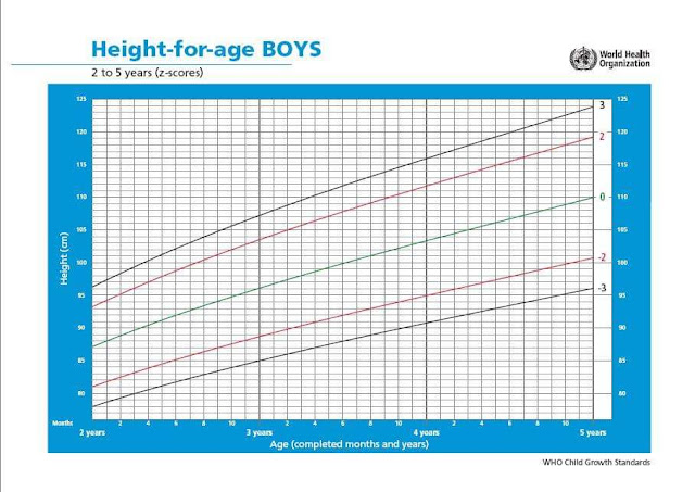 Review Pentingnya buku KIA untuk kesehatan ibu dan anak
