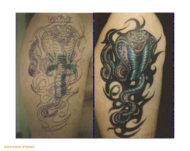 Tattooz Designs: Tribal Cover Up Tattoos Designs Tribal 
