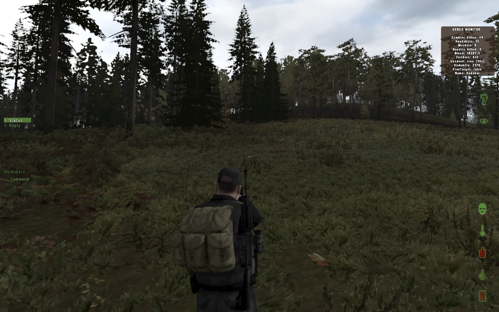 Dayz How To Play