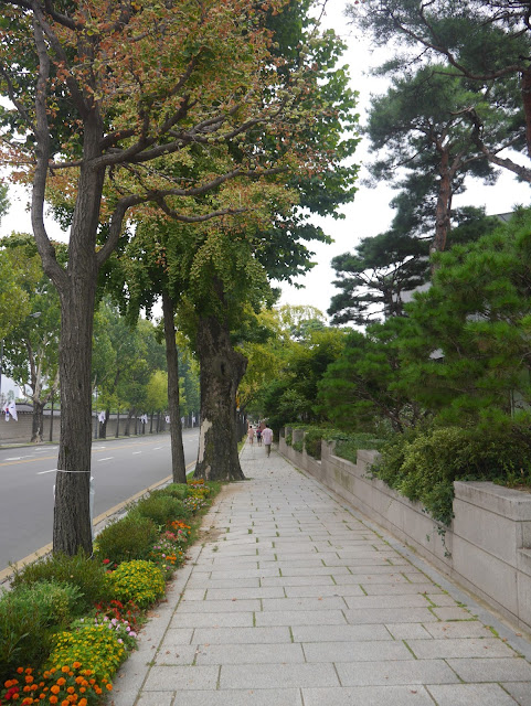 2015,summer 於是我就在韓國了 Day21