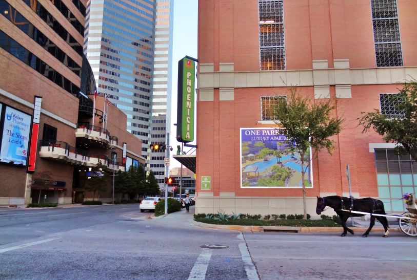 Houston in Pics Phoenicia Speciality Foods from around the world in Do