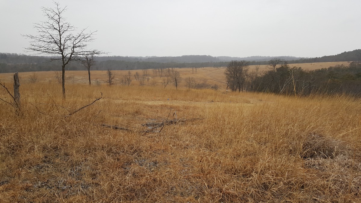 Harriman Hiker Harriman State Park and Beyond Soliders Delight Serpentine Barrens