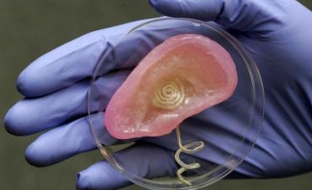 Scientists 3D-print bionic ear that hears beyond human range.