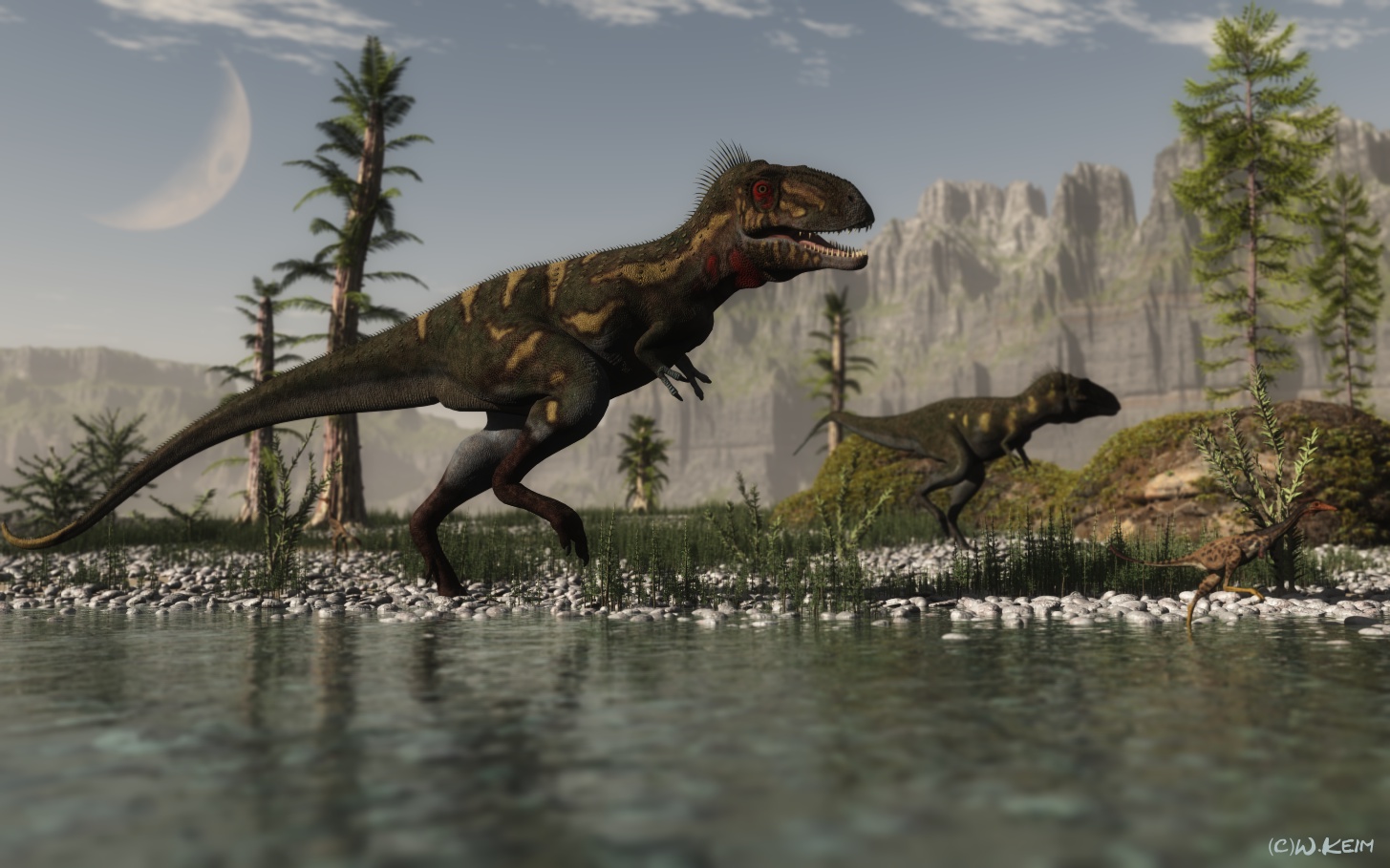 Игра больших динозавров. Nanotyrannus lancensis. Нанотиранус динозавр. Нанотиранус и Тиранозавр. Нанотиранус против тиранозавра.