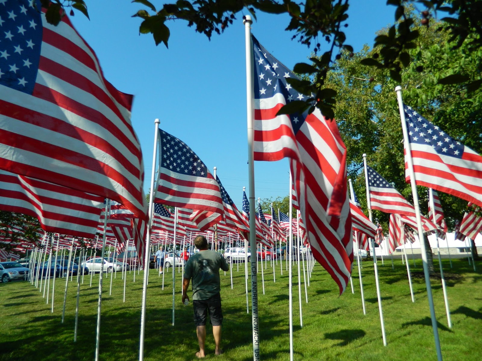Castalia Cold Creek Celebration Castalia, Ohio Ohio Festivals