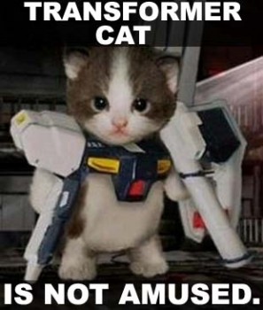 transformer+cat+is+not+amused.jpg
