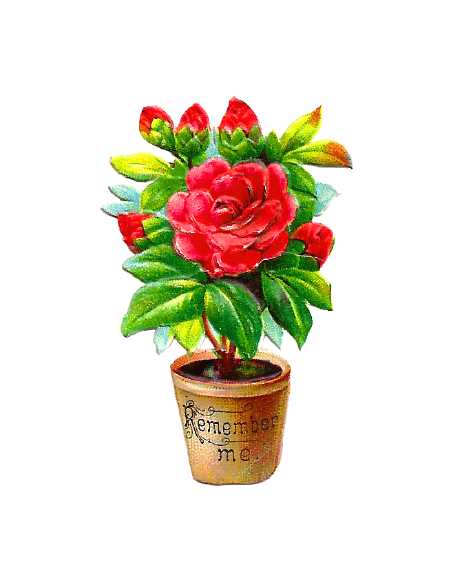 free clip art flowers in pots - photo #24