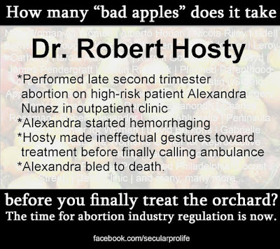 How many "bad apples" does it take before you finally treat the orchard? Dr. Robert Hosty performed late second trimester abortion on high-risk patient Alexandra Nunez in outpatient clinic. Alexandra started hemorrhaging. Hosty made ineffectual gestures toward treatment before finally calling an ambulance. Alexandra bled to death.