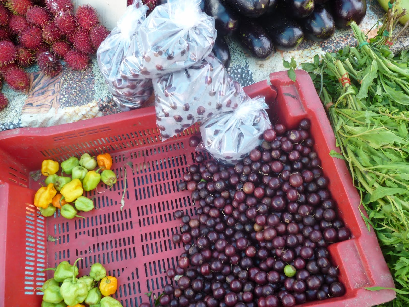 Life in French Guiana and beyond More food