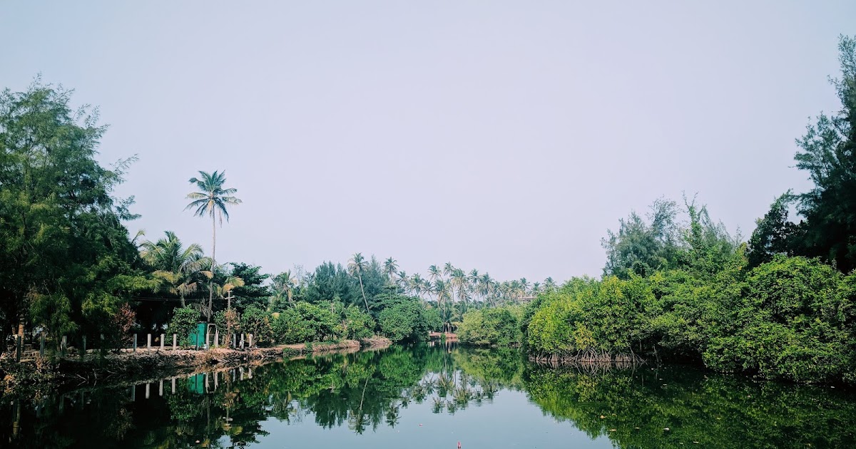 If It Were Your Home. 