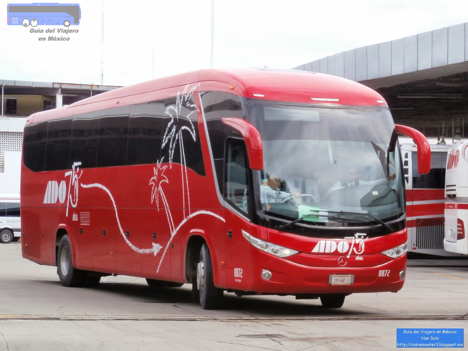 Autobuses de Primera Clase en México Autobuses de Primera Clase en México