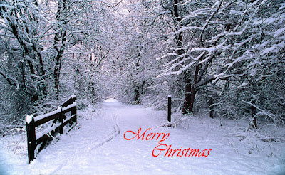 http://fineartamerica.com/featured/snowy-trail-merry-christmas-skip-willits.html
