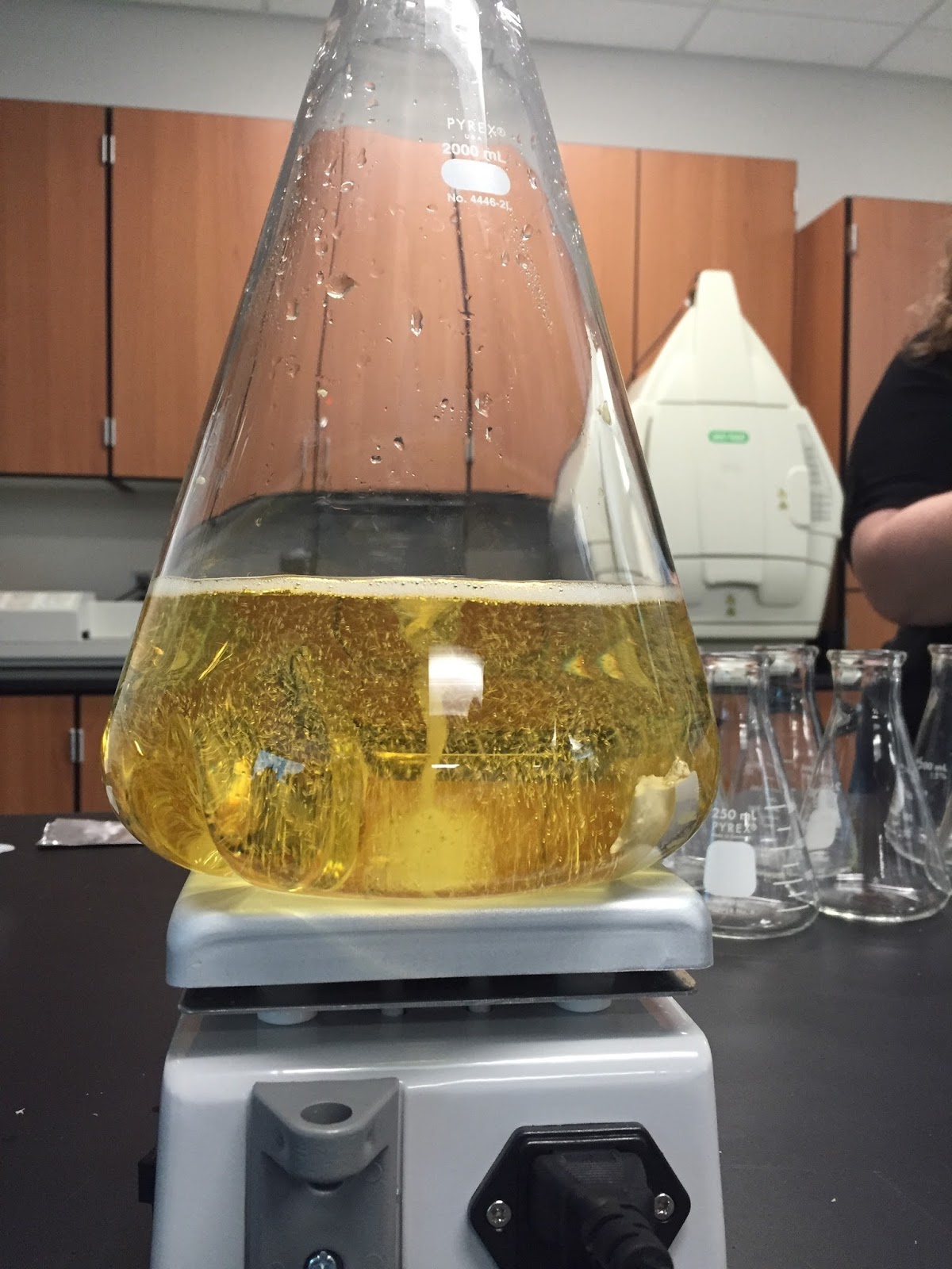 LucasParmer Lab 2 Media Prep and Autoclave, Plate Pouring