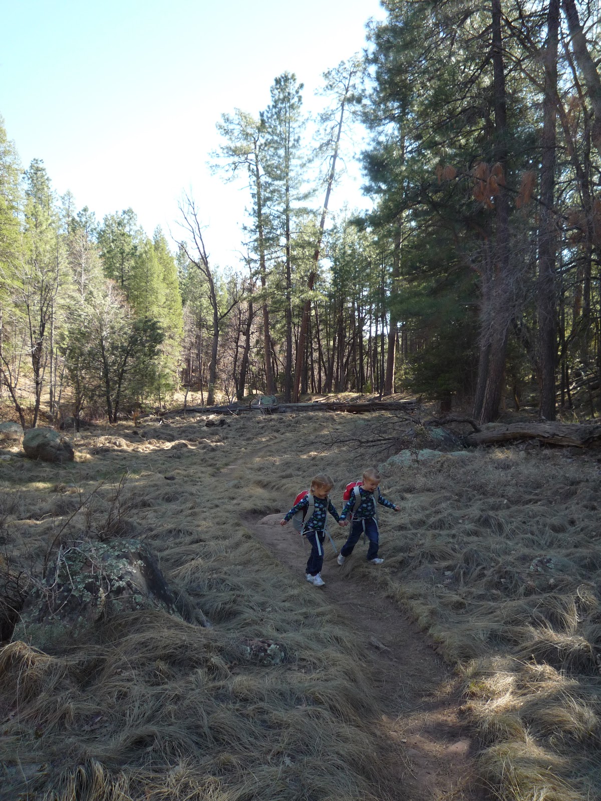 i heart mesa. Backpacking in Arizona