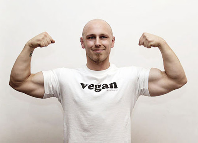 Muscle Building Meal Plan Muscle Building Meal Plan