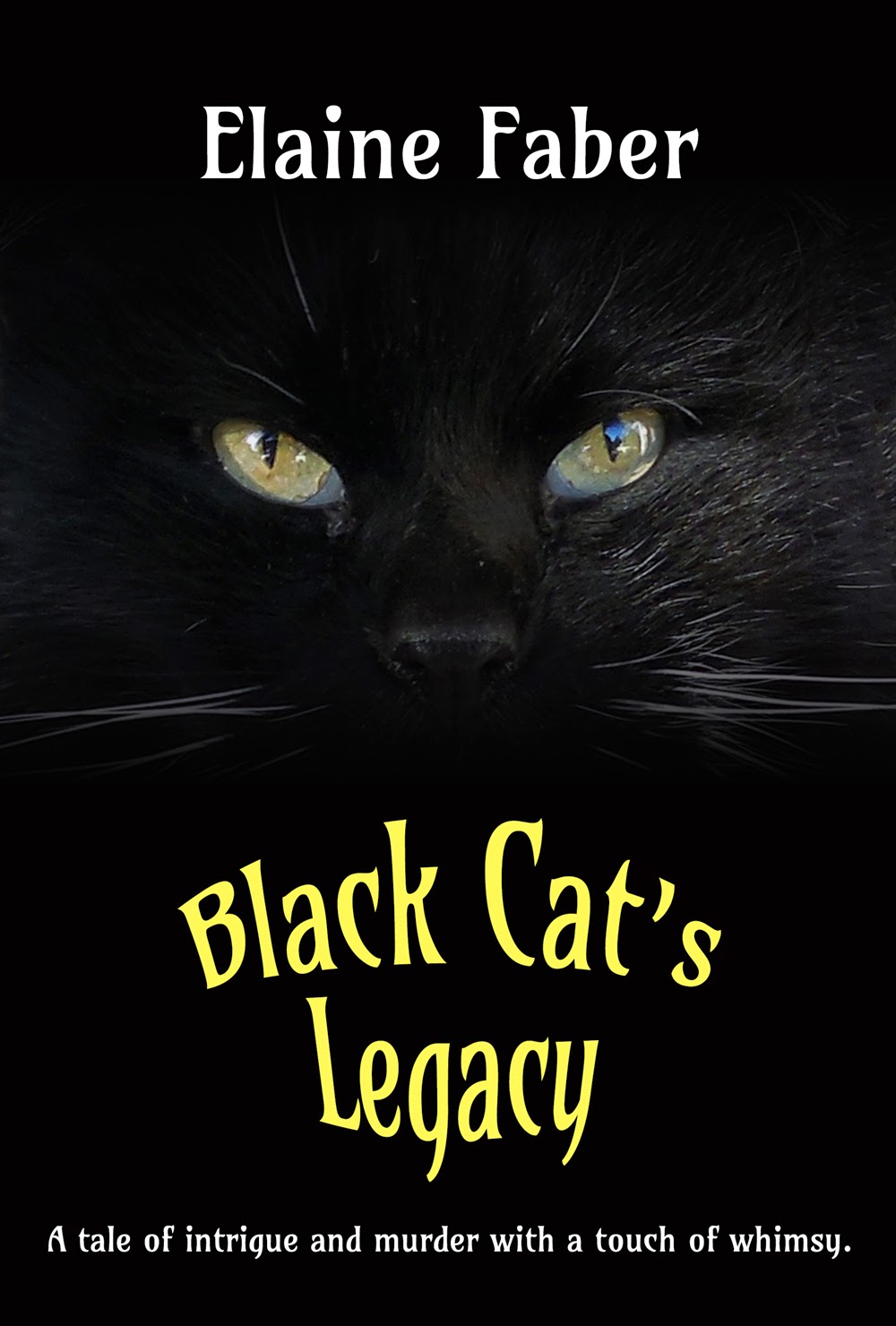 Cats, Books, and...More Cats! ROCCO interviews....Thumper of Black Cat