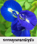 http://megatopic.blogspot.com/2013/07/butterfly-pea.html