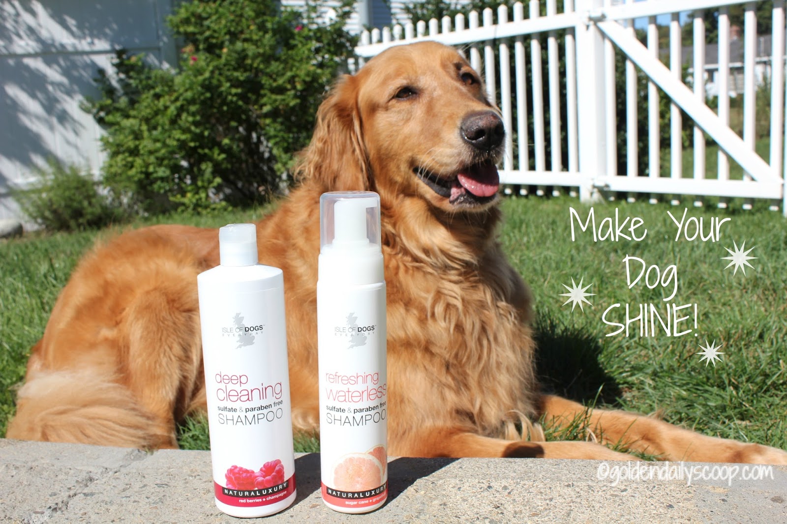 Make Your Dog Shine with Isle of Dog Grooming Products Review and Giveaway