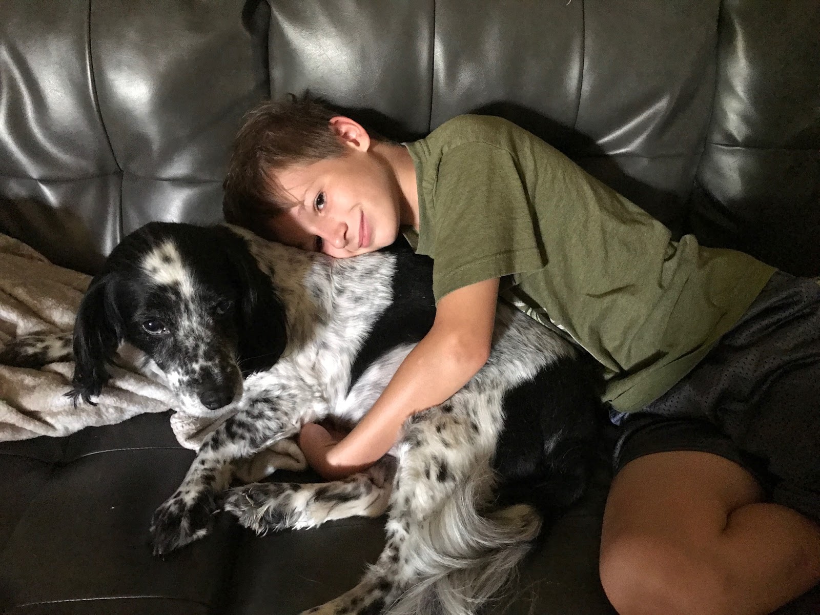 what is nine in dog years