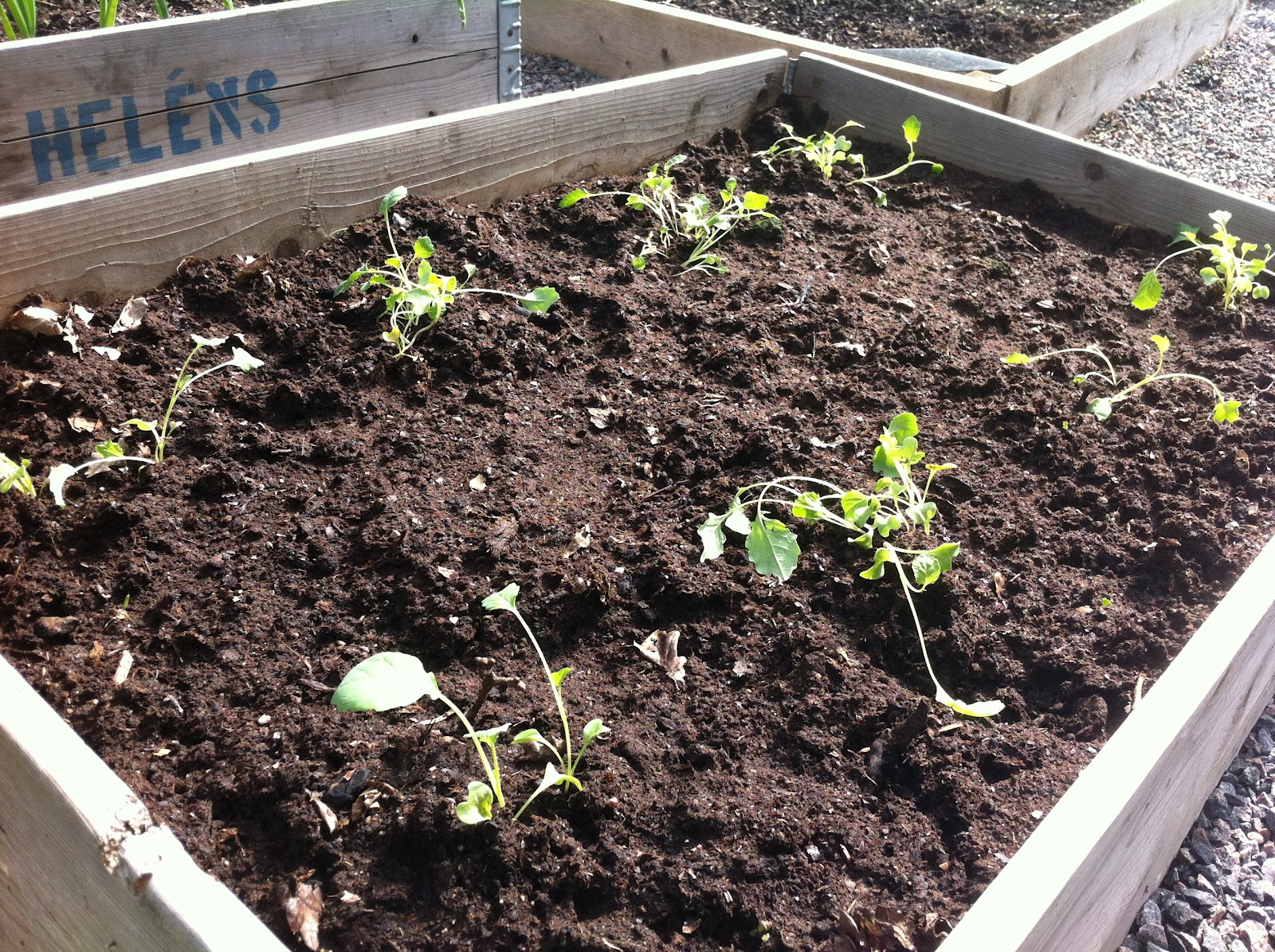 Swapping the city lights for rural Sweden Who's digging holes in my