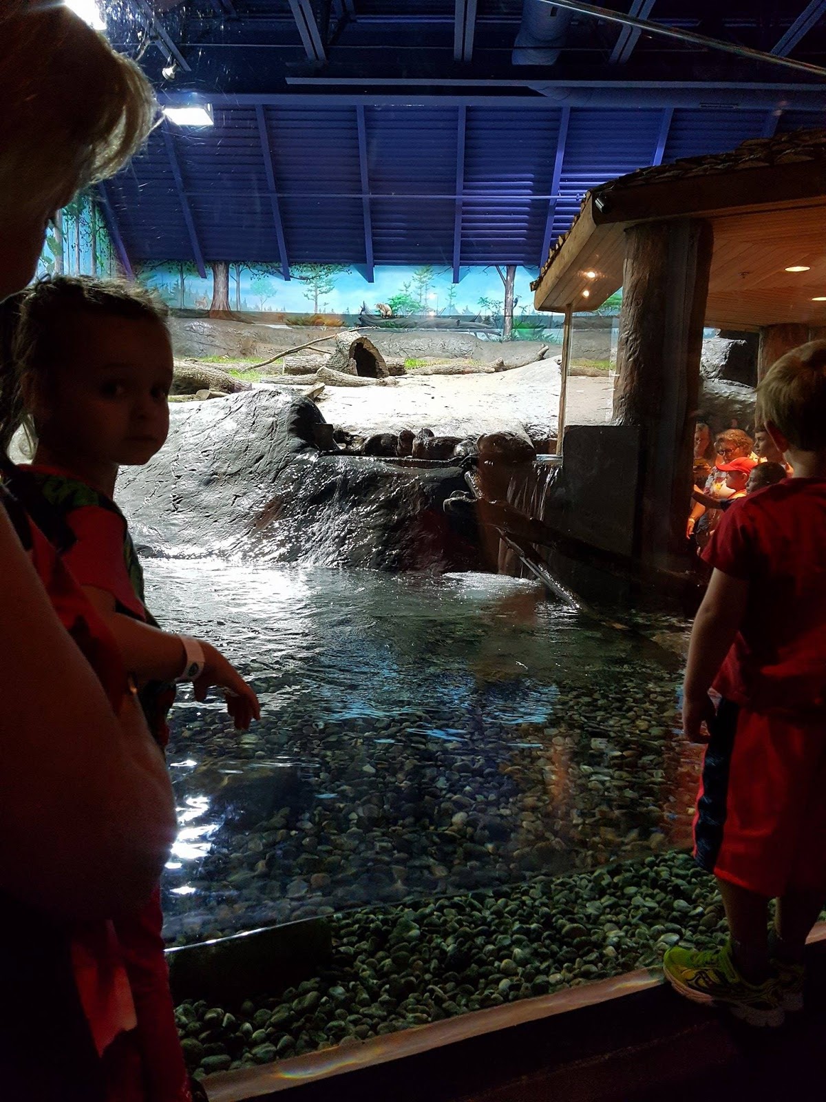 Things To Do with the Kids in Ottawa Brockville Aquatarium Review