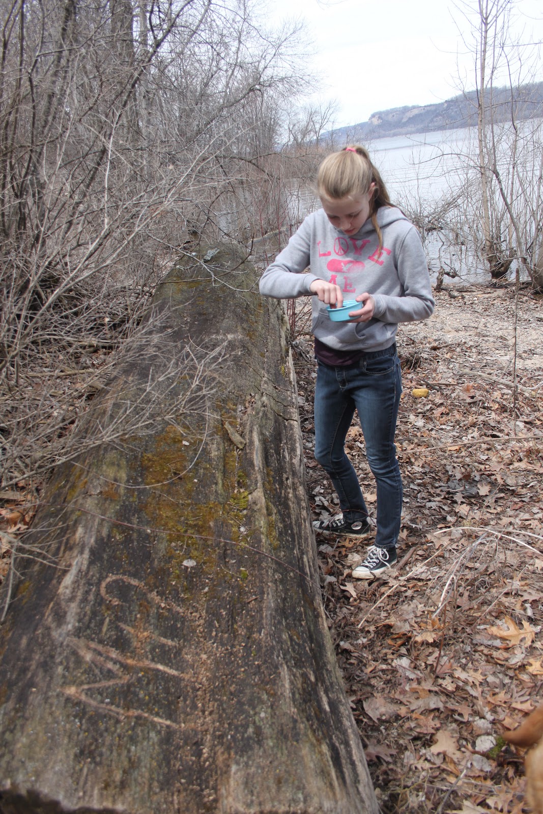 Russman's spot Agate Hunt