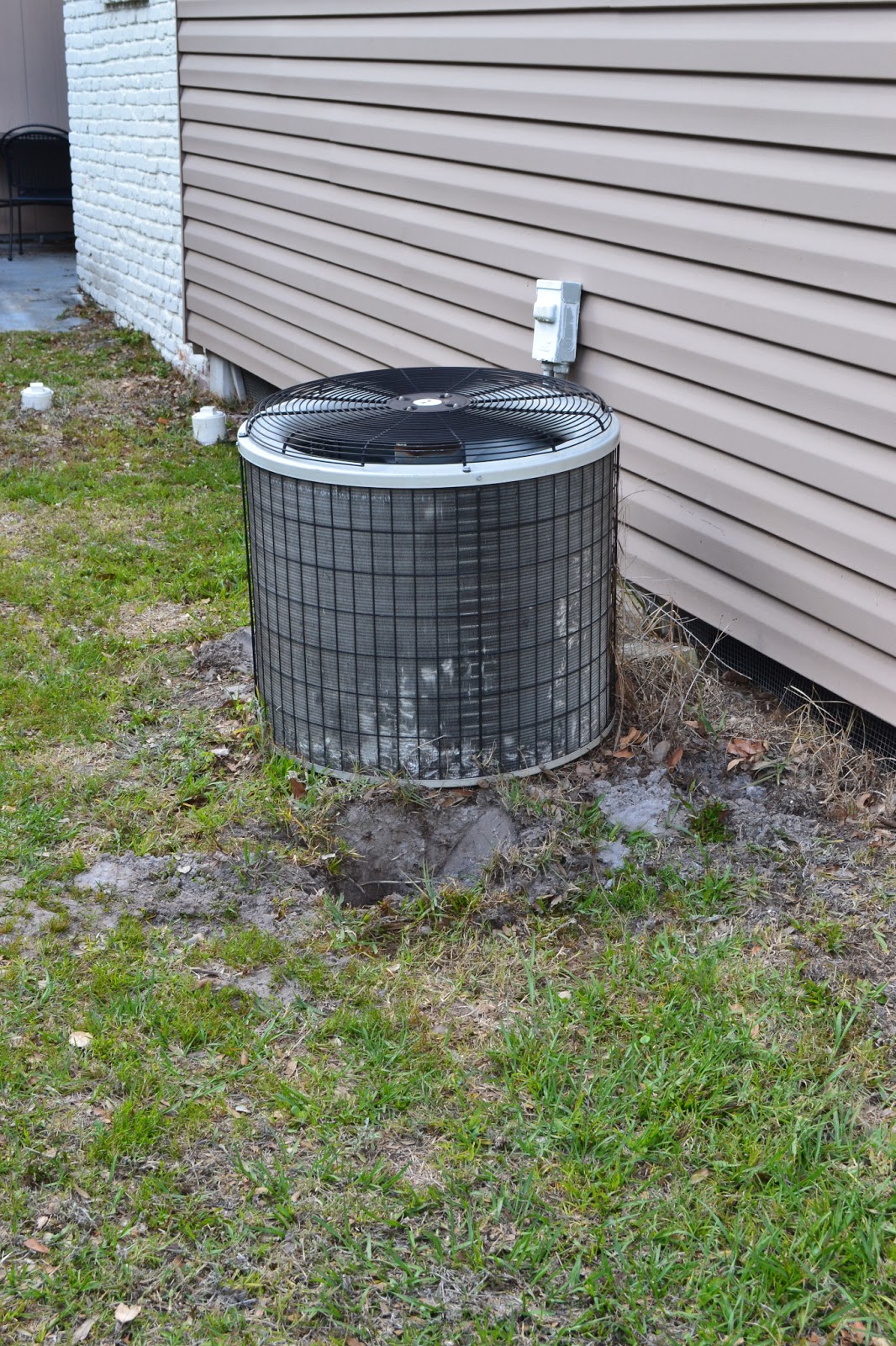 Zoo View Home: April Landscaping: Hiding an Air Conditioner