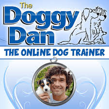 Top Advice on Official Blog to Online Dog Trainer E-book 