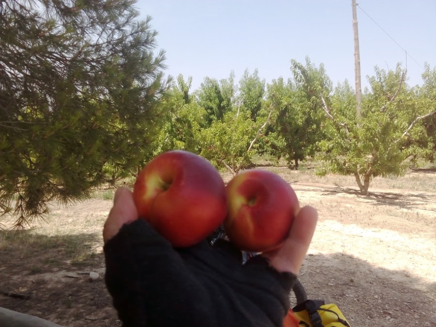 gr99-camino-del-ebro-en-btt-navarra-la-rioja-aragon-espana