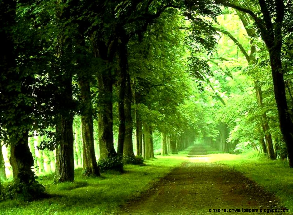 BEAUTIFUL NATURE BEAUTY WALLPAPERS HD  Share your Moments with