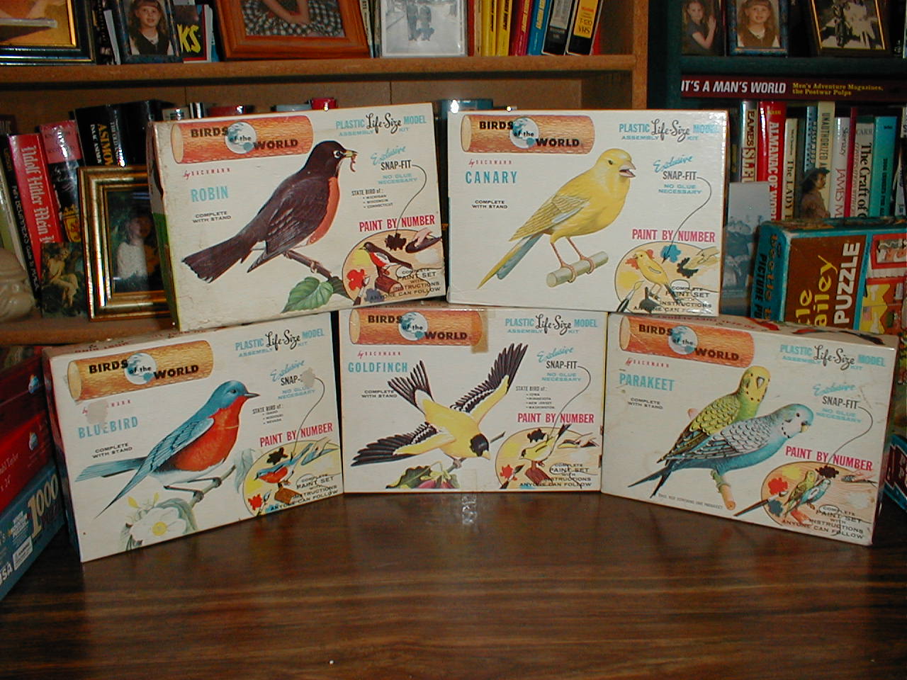 Bird In Everything Plastic Bird Models