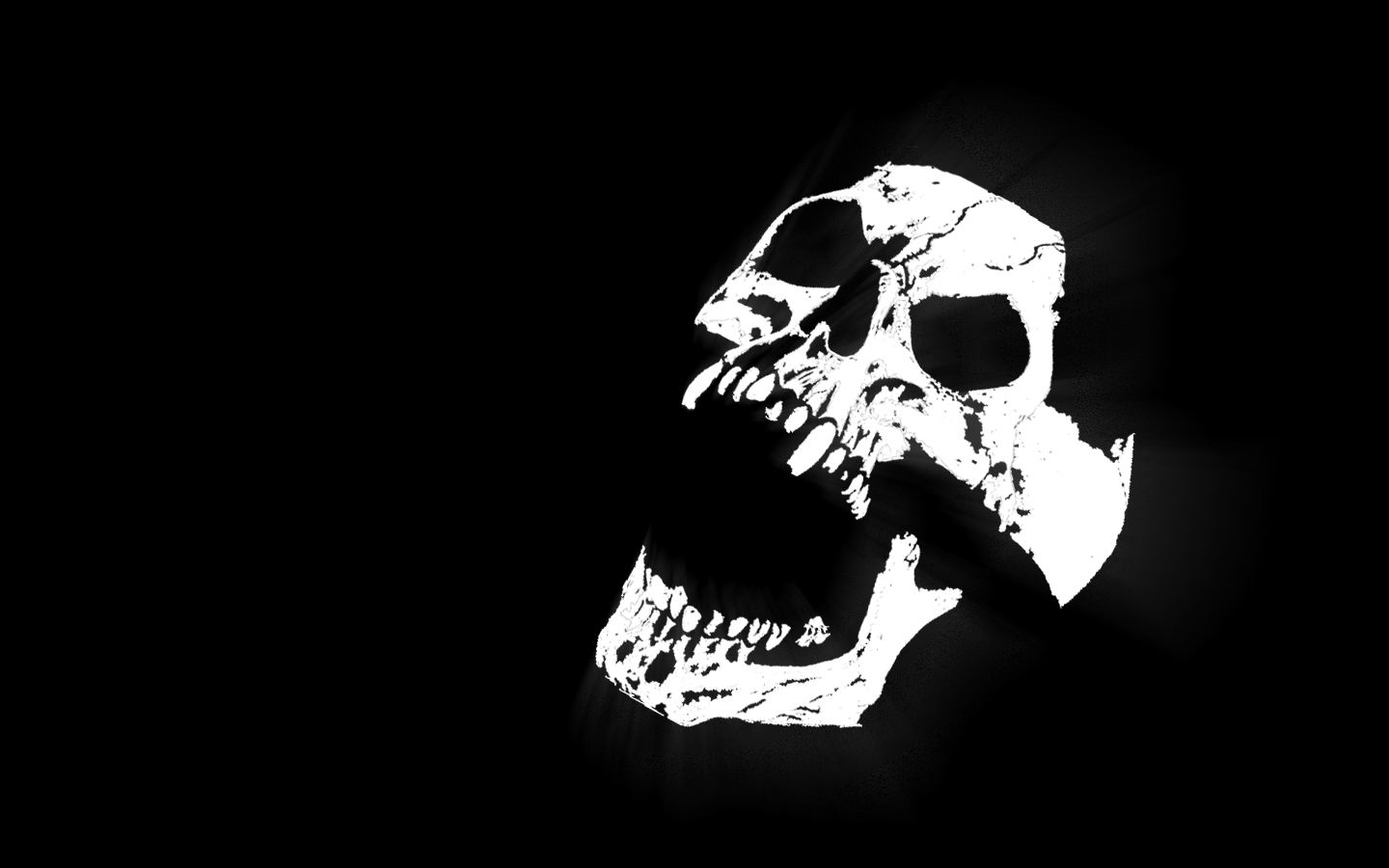 WHITE SKULL WITH BLACK BACKGROUND | WALLS TOWN