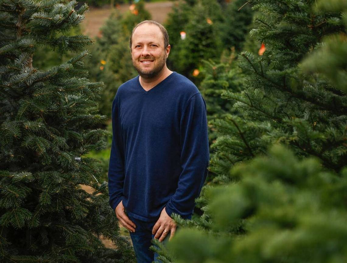 Könyvjelző Jay Asher What Light Micsoda fény!