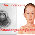 Virus Varicella Zoster 