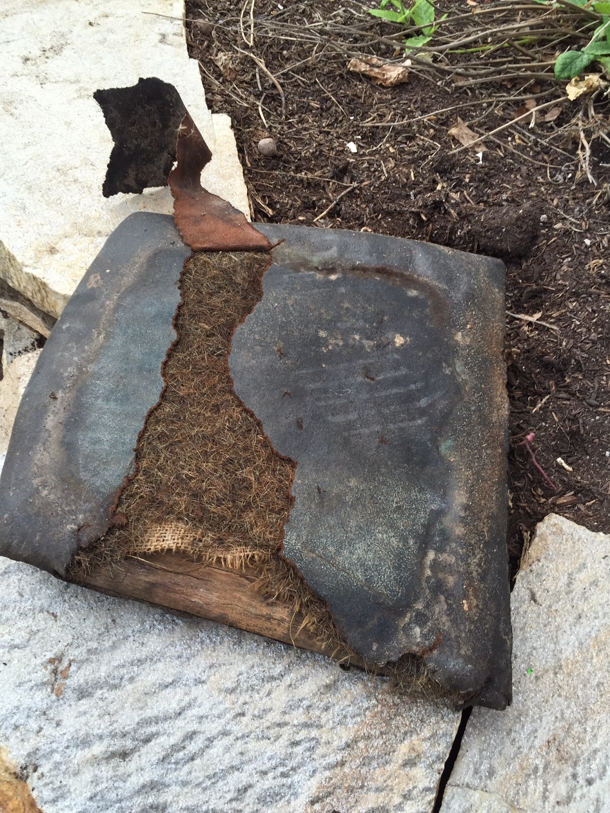Start at Home Turn Upholstered Dining Chair Seats Into Wood!