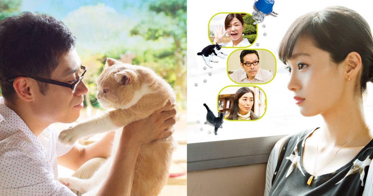 Neko Atsume Live Action Trailer JEFusion