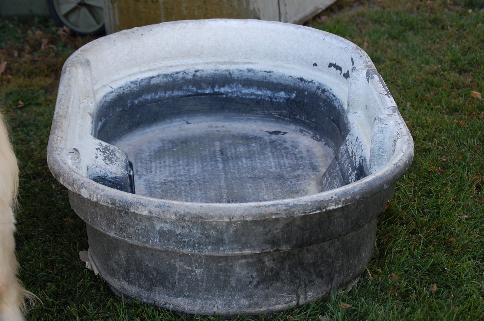 Crosswinds Farm October 2011