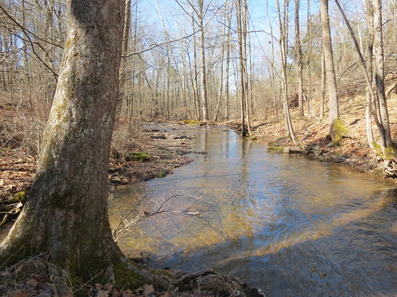Gone Hikin' Horseshoe Bend Park, NJ North