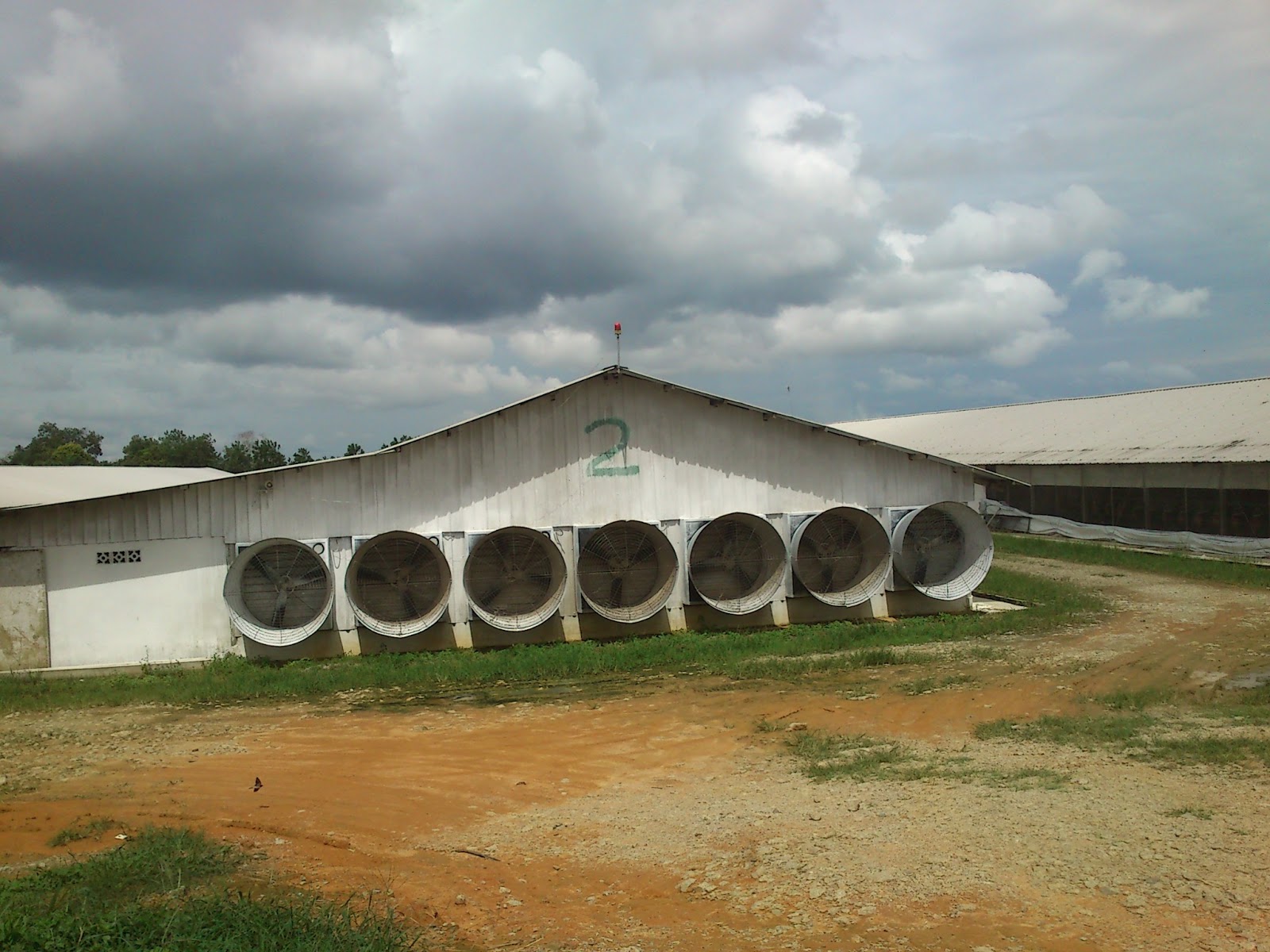 Probiotik EM Effective microorganism: SUMBER TAHI AYAM DARI REBAN TERTUTUP