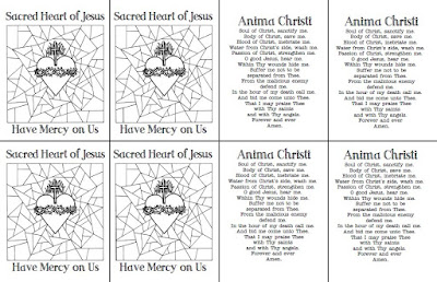 Look to Him and be Radiant: Sacred Heart of Jesus & Anima Christi