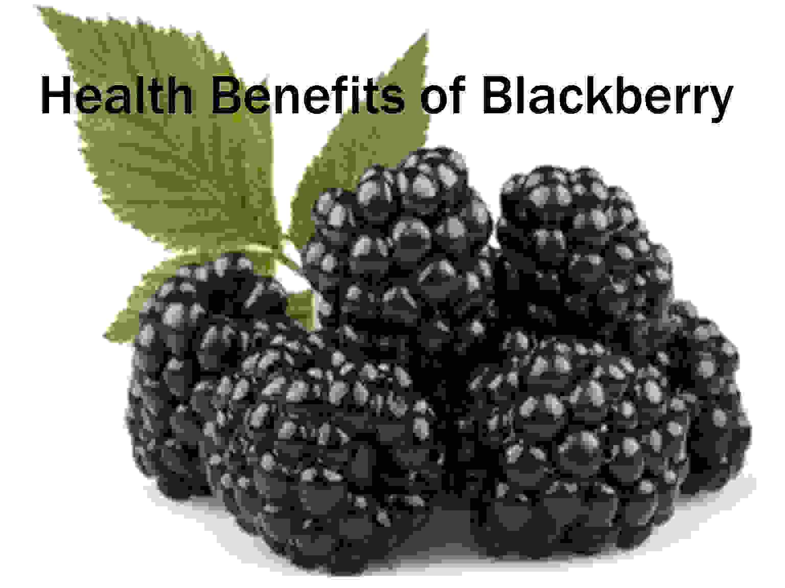 Health Benefits of Blackberry Vitamins, Nutritional Supplements, Minerals and Keerai