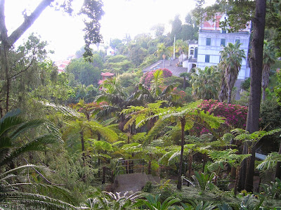 Jardín Tropical Monte Palace, Jardim Monte Palace, Funchal, Madeira, Portugal, La vuelta al mundo de Asun y Ricardo, round the world, mundoporlibre.com